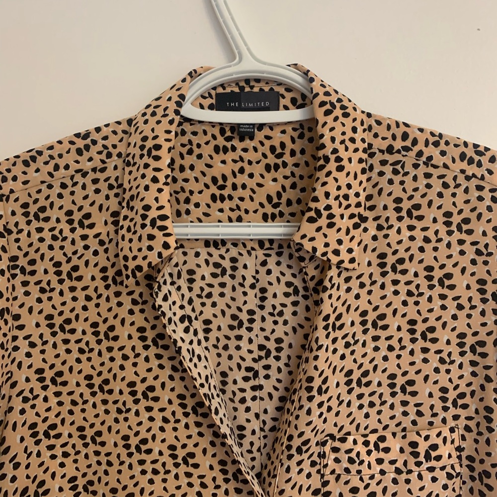 The Limited Blouse